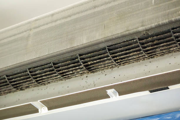 Best Air Duct Inspection  in Arrowhead Beach, NC